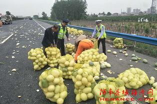 西安吃瓜群众水果店,瓜果飘香,尽享夏日清凉时光