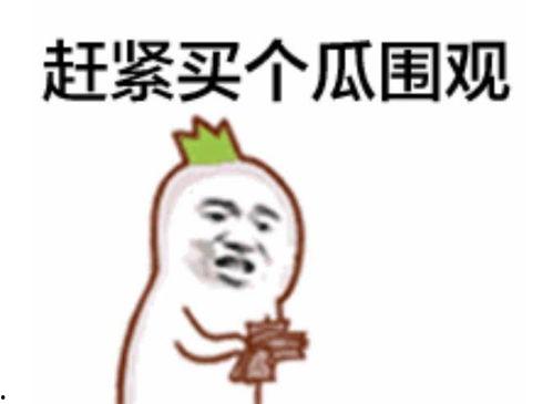 群众吃瓜视频素材下载,揭秘群众吃瓜视频背后的趣味与思考