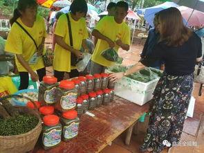 小九九吃瓜群众视频,揭秘娱乐圈幕后故事