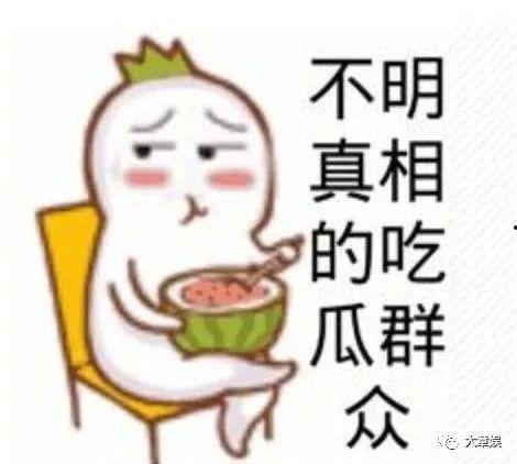 吃瓜群众小粉丝是谁,网络红人的崛起之路