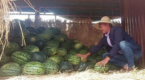 湖州吃瓜群众被爆照片,街头一幕引发网友热议