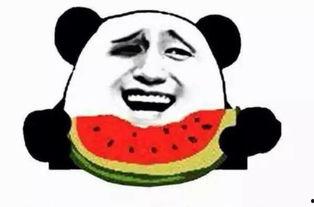 吃瓜群众来看剧,揭秘热门剧集背后的真相