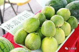 乐平吃瓜群众,揭秘当地热门话题背后的故事