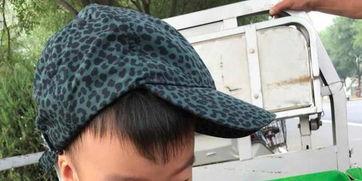 二哈调皮吃瓜群众视频,萌态十足引网友爆笑