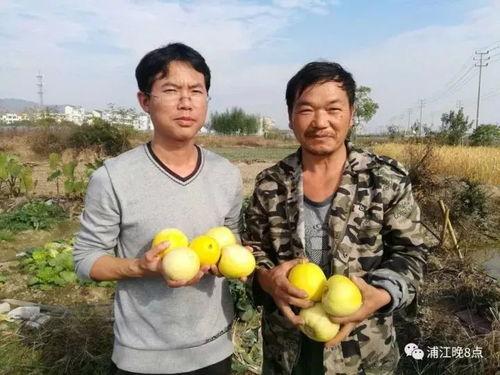 吃瓜群众 山西大同,吃瓜群众眼中的古城魅力