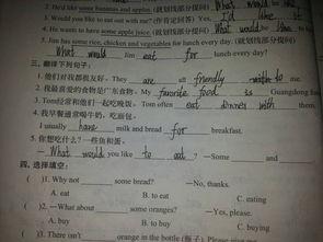 我的晚餐吃瓜群众英语作文,Dinner with the Public: An English Essay on Sharing My Evening Meal