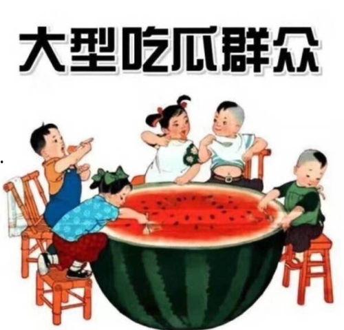 吃瓜群众小饺子图片高清,萌态可掬,引人捧腹