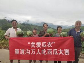 潮阳吃瓜群众网最新消息,最新热点事件追踪,揭秘幕后真相!