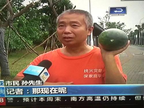 学校吃瓜群众的事件,吃瓜群众揭秘校园事件真相