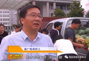 村内吃瓜群众是什么,农村社交生态的观察与思考