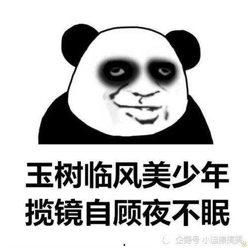 外国吃瓜群众搞笑段子,笑料百出，笑翻全球