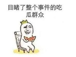 执念吃瓜群众的句子,揭秘网络舆论背后的心理现象