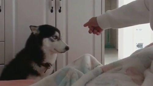 看吃瓜群众翻白眼的视频,揭秘网络现象背后的真相