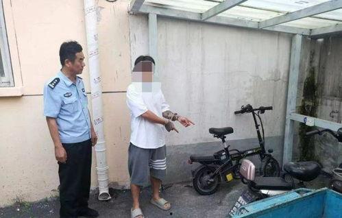 吃瓜群众专吃狗粮是真的吗,真相与误解