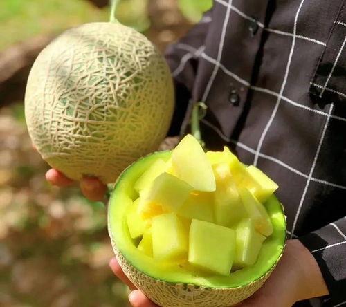 群众吃超级大瓜视频大全,群众热议的短视频盛宴