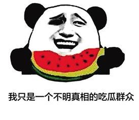 吃瓜群众网络新名词,网络新名词“吃瓜群众”背后的社会现象解析