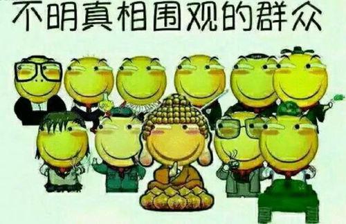 蛋蛋解说吃瓜群众,蛋蛋解说视角下的吃瓜群众众生相