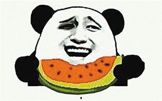 飞姐吃瓜群众视频大全集,揭秘娱乐圈幕后故事大全集