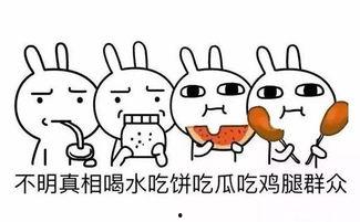 吃瓜群众的搞笑名字,揭秘那些搞笑的“吃瓜群众”名字背后的故事